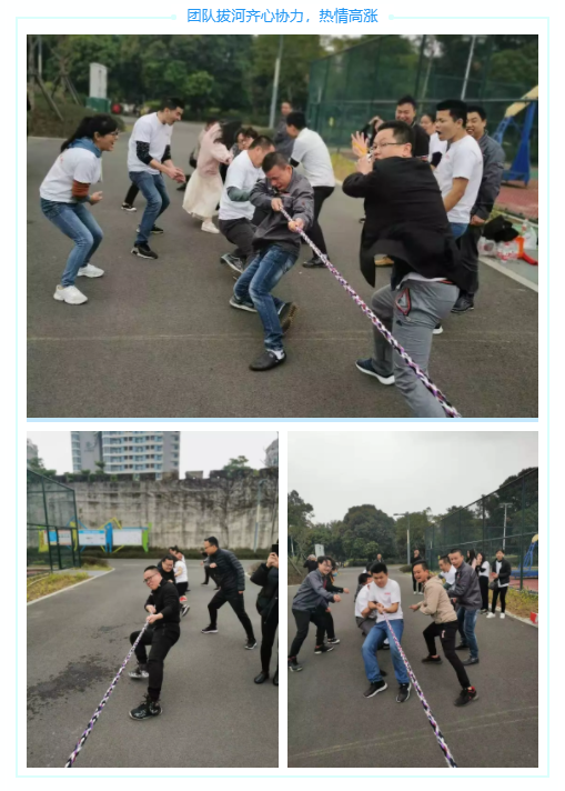 云鼎国际(中国)有限公司官网