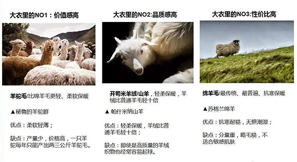 云鼎国际(中国)有限公司官网