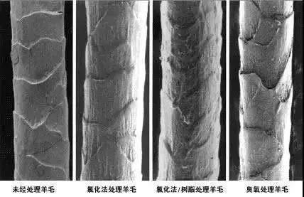 云鼎国际(中国)有限公司官网